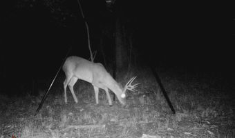 13489 S Center Point Rd, Atoka, OK 74525