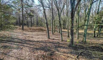 365 Skinner Rd, Austin, AR 72007