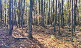 Crawford Road, Barnesville, GA 30204