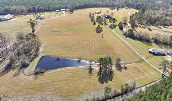 766 Pinola Braxton Rd, Braxton, MS 39044