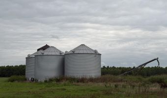 3300 Sheppard Island Rd, Altheimer, AR 72004