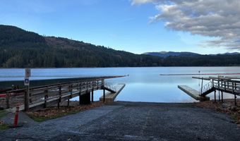 24706 NE Columbia Tie Rd 11-9, Amboy, WA 98601