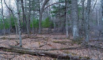255 45 Ac Dover Dr, Adams, WI 53910