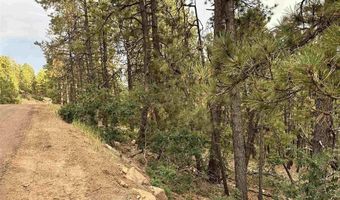 259 Hillside Cir, Bayfield, CO 81122