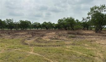 E Hwy 44 x CR 341 lot 0, Alice, TX 78332