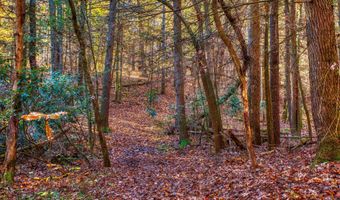 54 E Ridge Rd, Allardt, TN 38504