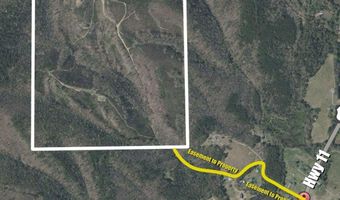 163 Acres Duck Springs Rd, Attalla, AL 35954