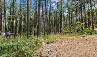 432 Blue Ridge Dr, Bayfield, CO 81122