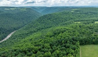 000 Bear Ridge Rd, Albright, WV 26519