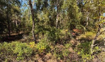 Lot 10 16th Ave, Bell, FL 32619