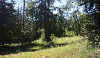 18 Majestic Mountain Rd, Clark Fork, ID 83811