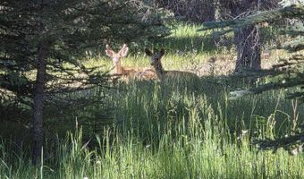 201 Golden Forest Rd, Bayfield, CO 81122
