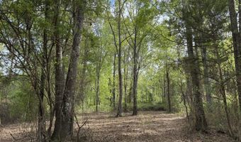 1311 A N Jackson St, Brookhaven, MS 39601