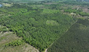 xxx County Hwy 73, Altha, FL 32421