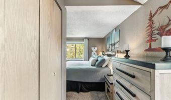 550 S FRENCH St 205, Breckenridge, CO 80424