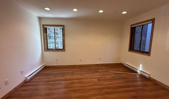 210 E Hyman Ave 201 & 202, Aspen, CO 81611