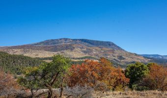 21401 Highway 82, Basalt, CO 81621