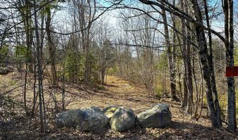 Lot # 00 North Road, Parsonsfield, ME 04047