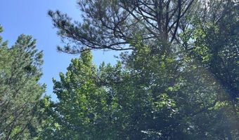 North Palestine Road, Baldwyn, MS 38824
