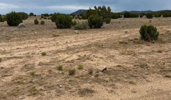 8206 TBD N8206, Concho, AZ 85924