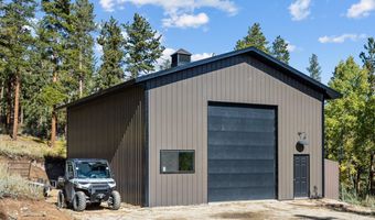 11982 Peak To Peak Dr, Allenspark, CO 80510