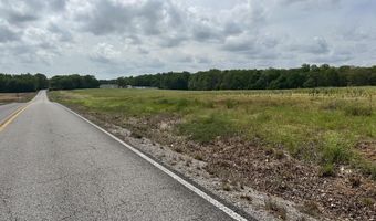 54 Acres Hwy 207, Anderson, AL 35610