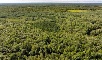 Tbd 359th Ln, Aitkin, MN 55760