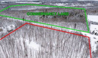 7438 AFTON Rd, Afton, MI 49705