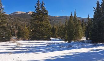 3553 RIVER Dr, Alma, CO 80420