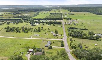 9009 MILLER, Alanson, MI 49706