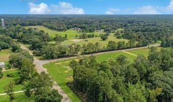 3 431 Acres HIGHWAY 16 None, Amite, LA 70422