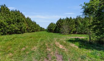 Burton Farm Road, Arapahoe, NC 28510