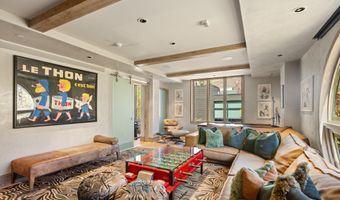 630 E Hyman Ave 203, 204, 205 & 206, Aspen, CO 81611