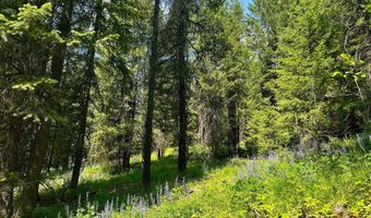 Kreiger Creek Rd, Careywood, ID 83809
