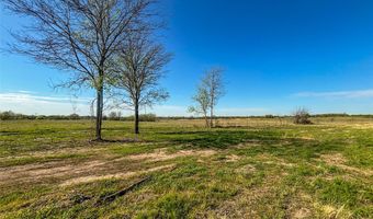 384 Cr-1475, Alvord, TX 76225