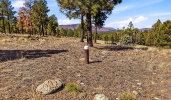 N2147, Alpine, AZ 85920
