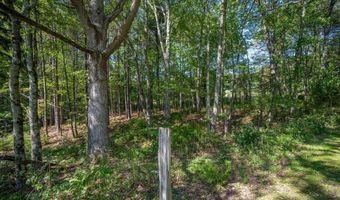 3348 3360 COVE Rd, Accident, MD 21520