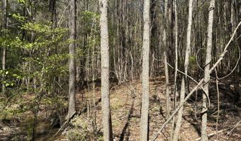 SW Auburn Drive, Bogue Chitto, MS 39629