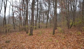 3366 Ludlow Rd, Albion, MI 49224