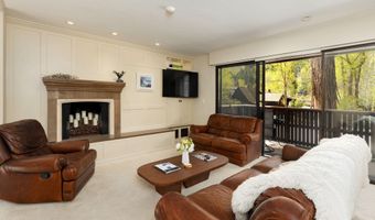 400 W Hopkins Ave 5, Aspen, CO 81611