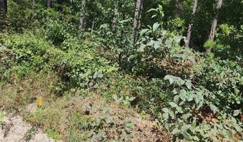 2340 Camp Rd, Bethune, SC 29009