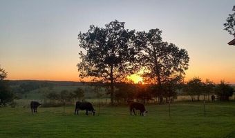 12491 County Road 414, Ava, MO 65608