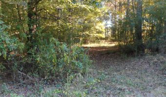 E-S Drive, Braxton, MS 39044