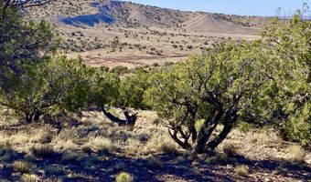 Tbd Co Rd 5062 Lot 1 3.53 Acres, Concho, AZ 85924
