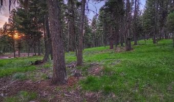 289 Seclusion Pt, Seeley Lake, MT 59868
