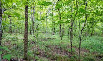 1 Camino Rd, Hot Springs Village, AR 71909