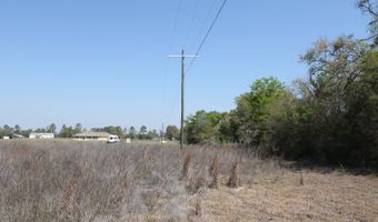NW 50th STREET, Bell, FL 32619