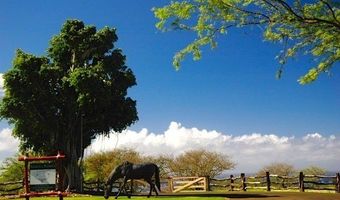 56-135 PUALANI Rd, Hawi, HI 96719