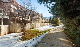 2009 Arbor Park Dr, Basalt, CO 81621