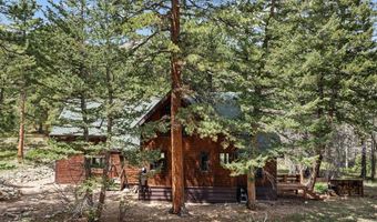 251 Haugen Slide Rd, Allenspark, CO 80510